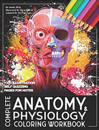 Anatomy And Physiology Coloring Worksheet Key