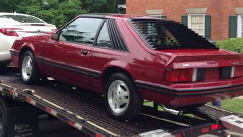 1982 Mustang GT | Mustang gt, Fox mustang, Fox body mustang