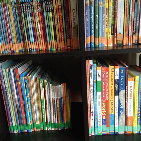 TeacherMomPlus3: Homeschool Library Organization