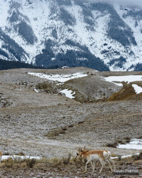 Gardiner Map - Yellowstone Country, Montana - Mapcarta