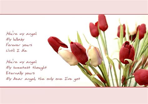 Tulips Poem Quotes