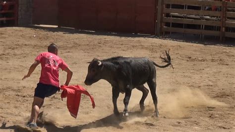 Matinal Vacas Plaza Igea La Roja Hnos Dominguez Youtube