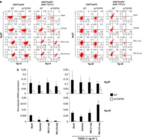 Transforming Growth Factor β1 Tgfβ1 Signal Is Required For Expression