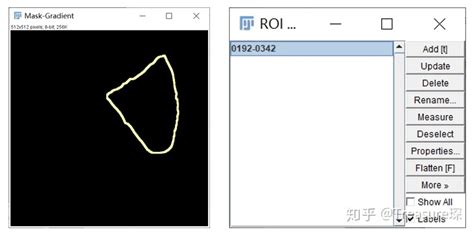 Imagej实用教程——细胞膜荧光强度检测定量分析篇 斯博利康 细胞生物学液体试剂专家