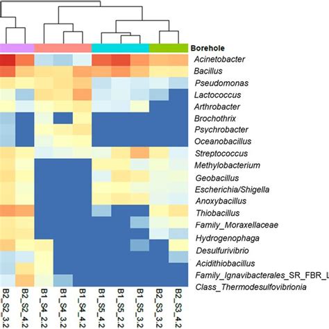 Heatmap Of The 20 Most Abundant Genera Samples Are Ordered Using Ward Download Scientific