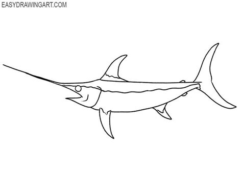 How to Draw a Swordfish | Swordfish, Drawings, Draw