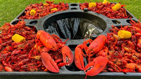 Crayfish Vs Crawfish