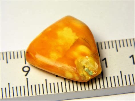 Egg Yolk Natural Genuine Baltic Amber Stone Old Vintage Retro Etsy