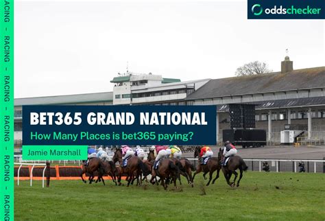 How Many Places Does Bet365 Pay On The Grand National Oddschecker