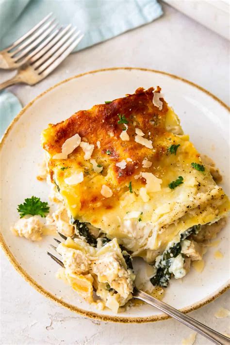 Chicken Alfredo Lasagna - Easy Chicken Recipes