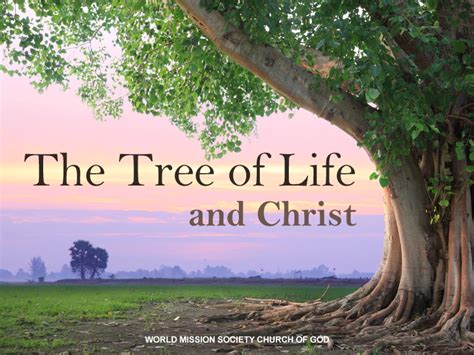 The Tree Of Life And Christ