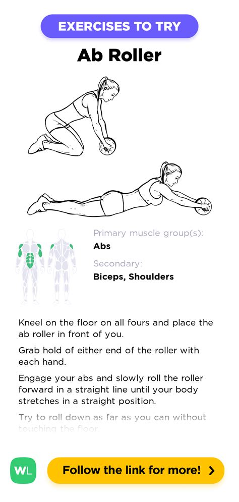 Ab Roller / Wheel Rollout / Kneeling Roll Extensions – WorkoutLabs Exercise Guide