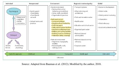 Adapted Ecological Model Of The Determinants Of Physical Activity