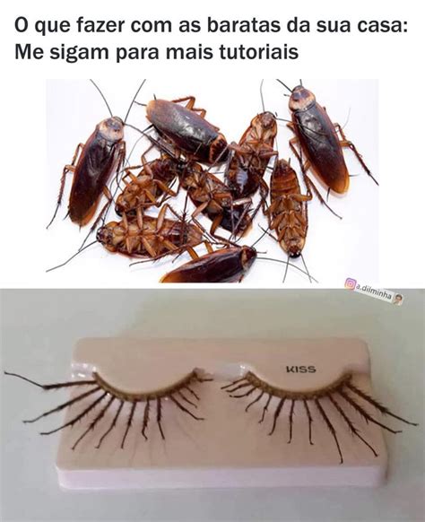 Pin De Mili Manquez Em Guardado R Pido Memes Gerador De Memes Meme