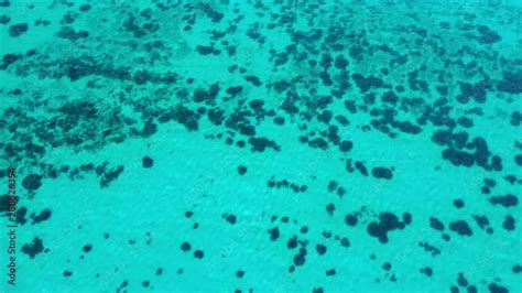 Aerial View Of Ningaloo Reef A Coral Reef In Western Australia