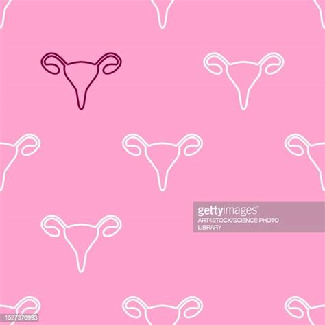 Polycystic Ovary Syndrome Photos And Premium High Res Pictures Getty