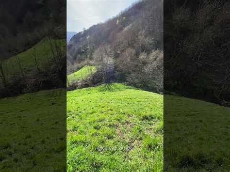 Tarde De Primavera CaleyaArriba Asturias Naturaleza Paisajes Agua