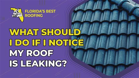 What Should I Do If I Notice My Roof Is Leaking Roofing