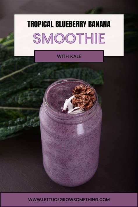 Tropical Blueberry Banana Smoothie With Kale Recipe Lettuce Grow