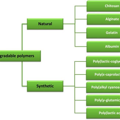 A Schematic Presentation Of Natural And Synthetic Biodegradable Polymers Download Scientific