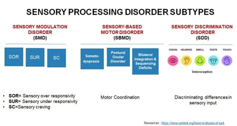 The 3 Primary Patterns And Subtypes Of Sensory Processing Disorder