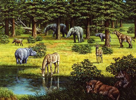 Prehistoric Wildlife Of The Miocene Era By Mauricio Anton Prehistoric