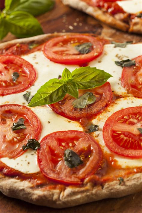 Organic Homemade Margarita Pizza Stock Image Image Of Cheese Italian