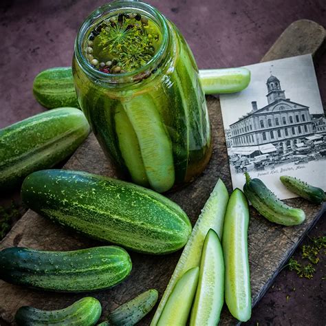 Boston Pickling Cucumber Seeds Baker Creek Seeds