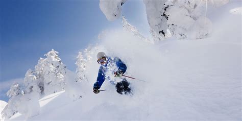 Japan Powder Skiing (JaPow) - Endless Turns