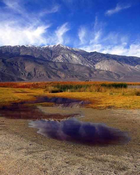 Rain Puddle Reflection Photograph by Tina Slee - Fine Art America