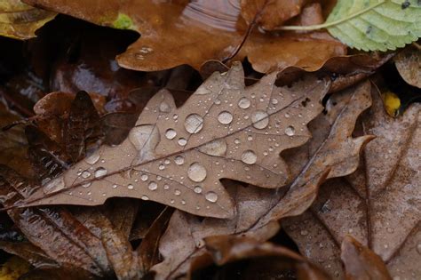 Meteo Rom Nia Decembrie Cod Galben I Cod Portocaliu De Vreme