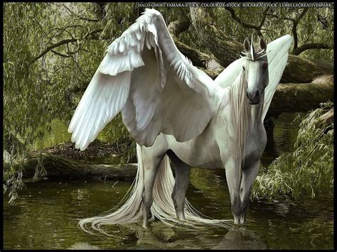 Pegasus Mythical Creatures Art Cute Fantasy Creatures Mythical Animal