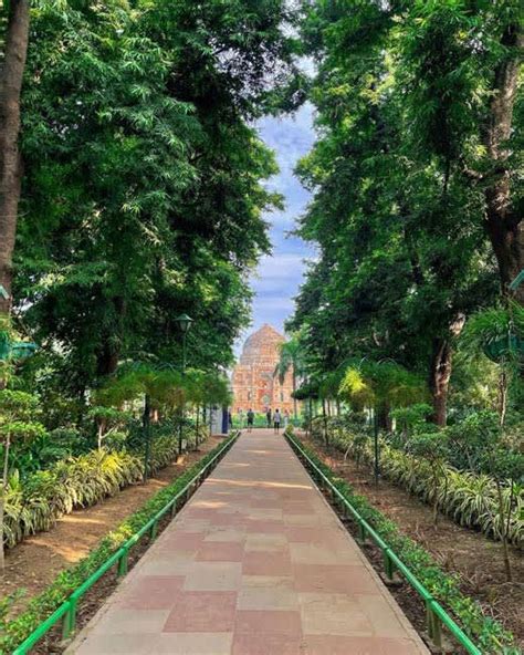 Best Parks And Gardens In Delhi Fasci Garden