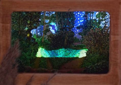 The Reflection Of Trees And Plants In A Mirror With Blue Lights On It S