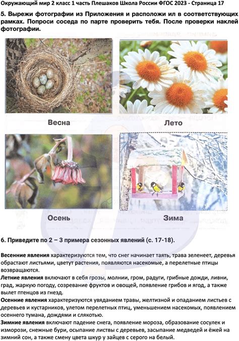 ГДЗ Страница 17 Часть 1 Рабочая тетрадь по окружающему миру 2 класс ...