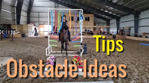 Obstacle Ideas And Tips For Horse Training, 41% OFF