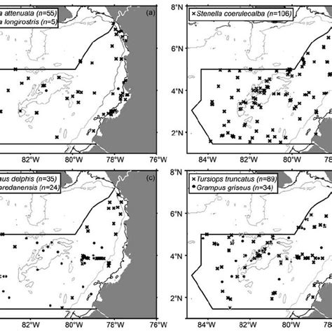 Distribution map for humpback whale ( Megaptera novaeangliae ), Bryde’s ...