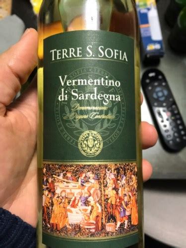 Terre S Sofia Vermentino Di Sardegna Vivino Us