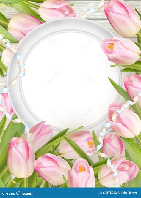 Tulips And Blank White Frame Eps Stock Vector Illustration Of