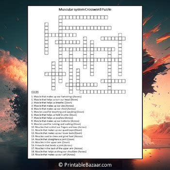 Muscular System Crossword Puzzle Worksheet Activity By Crossword Corner