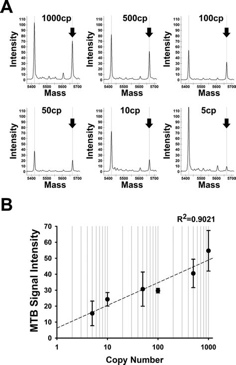 Maldi Tof Ms Detection Limit For Mtb Identification Genomic Dna Download Scientific Diagram