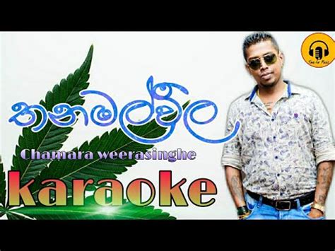 Thanamalvila Mal Pipunath Karaoke Chamara Weerasinghe Karaoke Sinhala