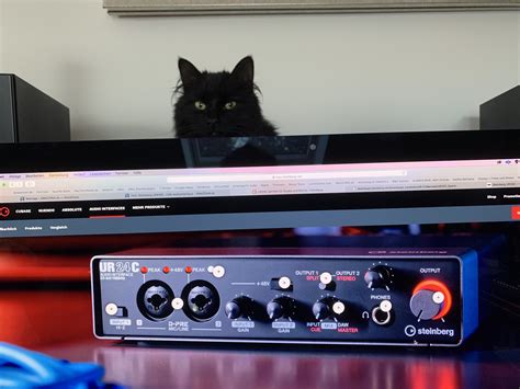 Test: Steinberg UR24C, USB-Audiointerface - AMAZONA.de