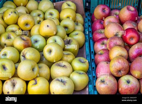 apples fruits green apple  res stock photography  images alamy