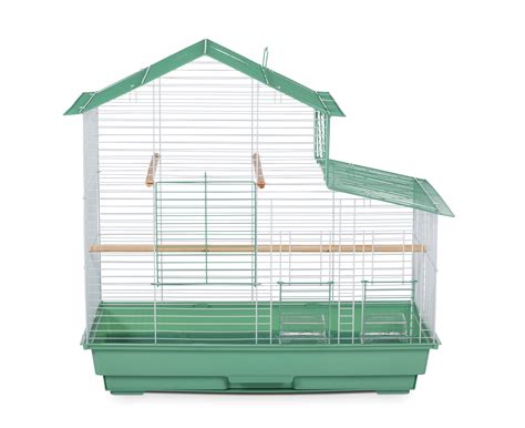 Tucker Murphy Pet Cinta Steel Pointed Top Table Top Bird Cage