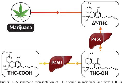 Figure 1 From Multi Laboratory Validation Of A Δ9 Tetrahydrocannabinol Lc Msms Test Kit