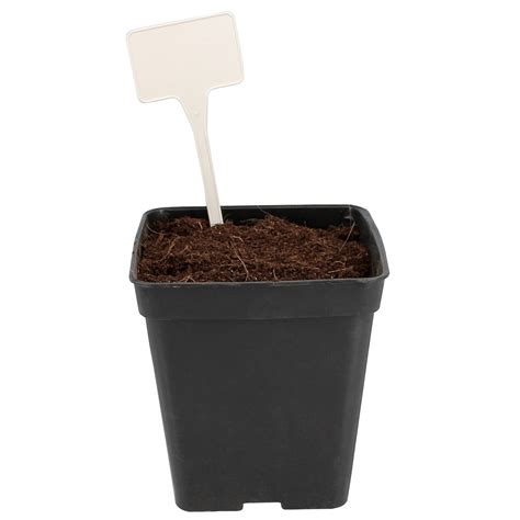 Etiquettes Pour Plante En Plastique Et R Utilisables Hydrozone