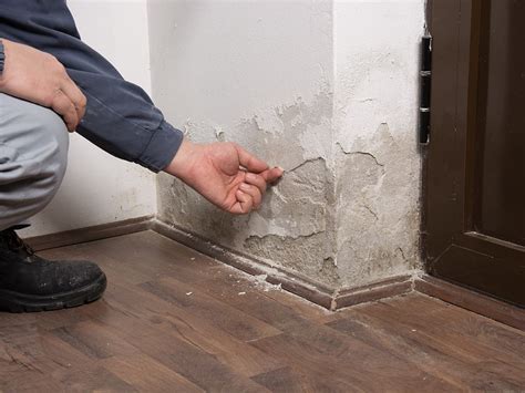 How To Treat Damp Walls Internally Room Dome