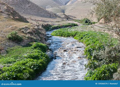 Kidron River in Judean Desert Stock Photo - Image of sahara, green ...