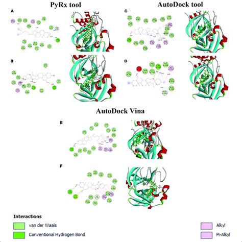 Binding Affinity And Amino Acid Interactions Of Phytocompounds